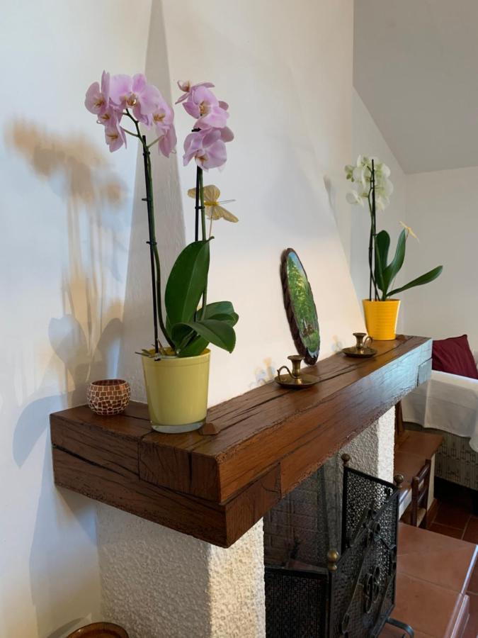 סאסו מרקוני B&B Codivilla מראה חיצוני תמונה